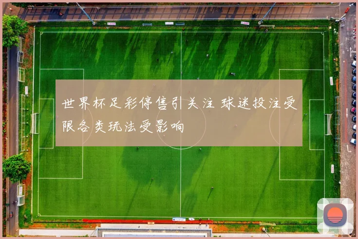 世界杯足彩停售引关注 球迷投注受限各类玩法受影响