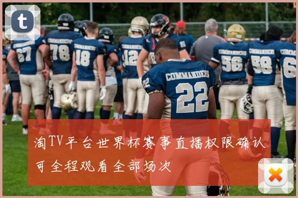 淘TV平台世界杯赛事直播权限确认可全程观看全部场次