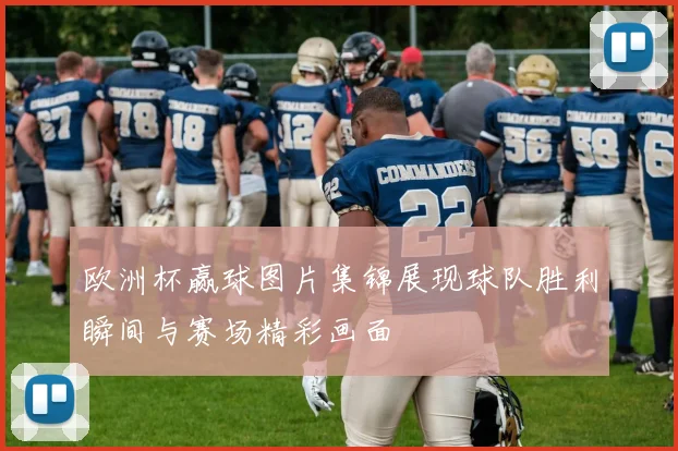 欧洲杯赢球图片集锦展现球队胜利瞬间与赛场精彩画面
