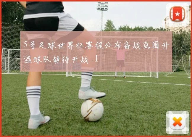 5号足球世界杯赛程公布备战氛围升温球队静待开战_1